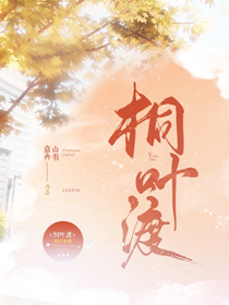 桐城市