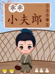 乖乖小夫郎类似文
